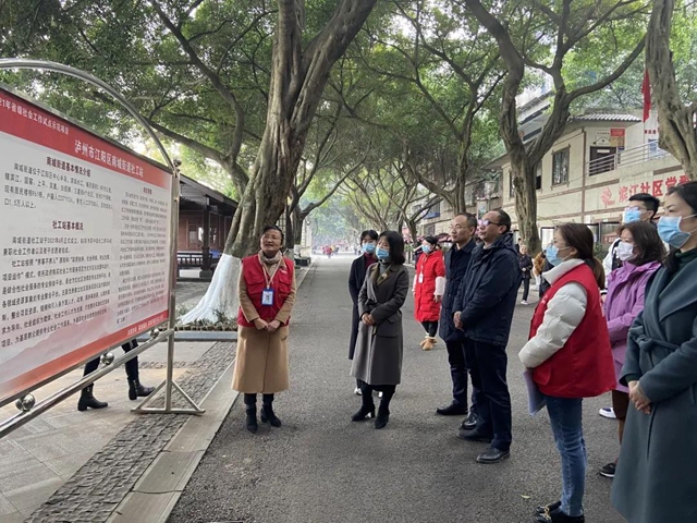 江阳区民政局新项目推动社区发展，提升民生福祉