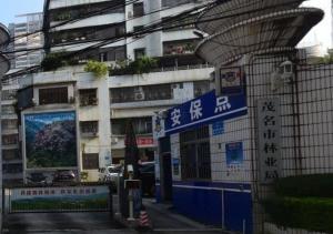 茂名市林业局绿色生态建设项目的未来展望