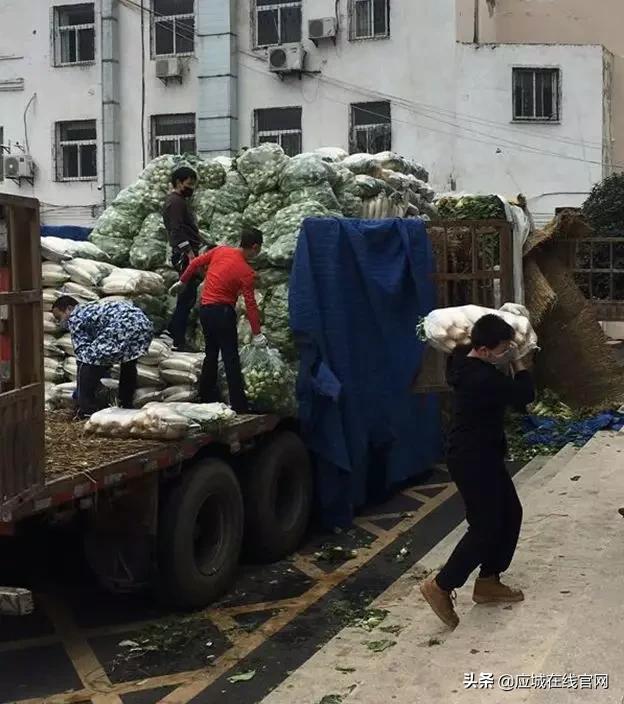 应城市体育馆新项目，现代化体育新地标打造启动