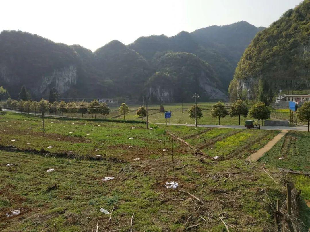 余垭村发展规划揭秘，走向繁荣与和谐的蓝图之路