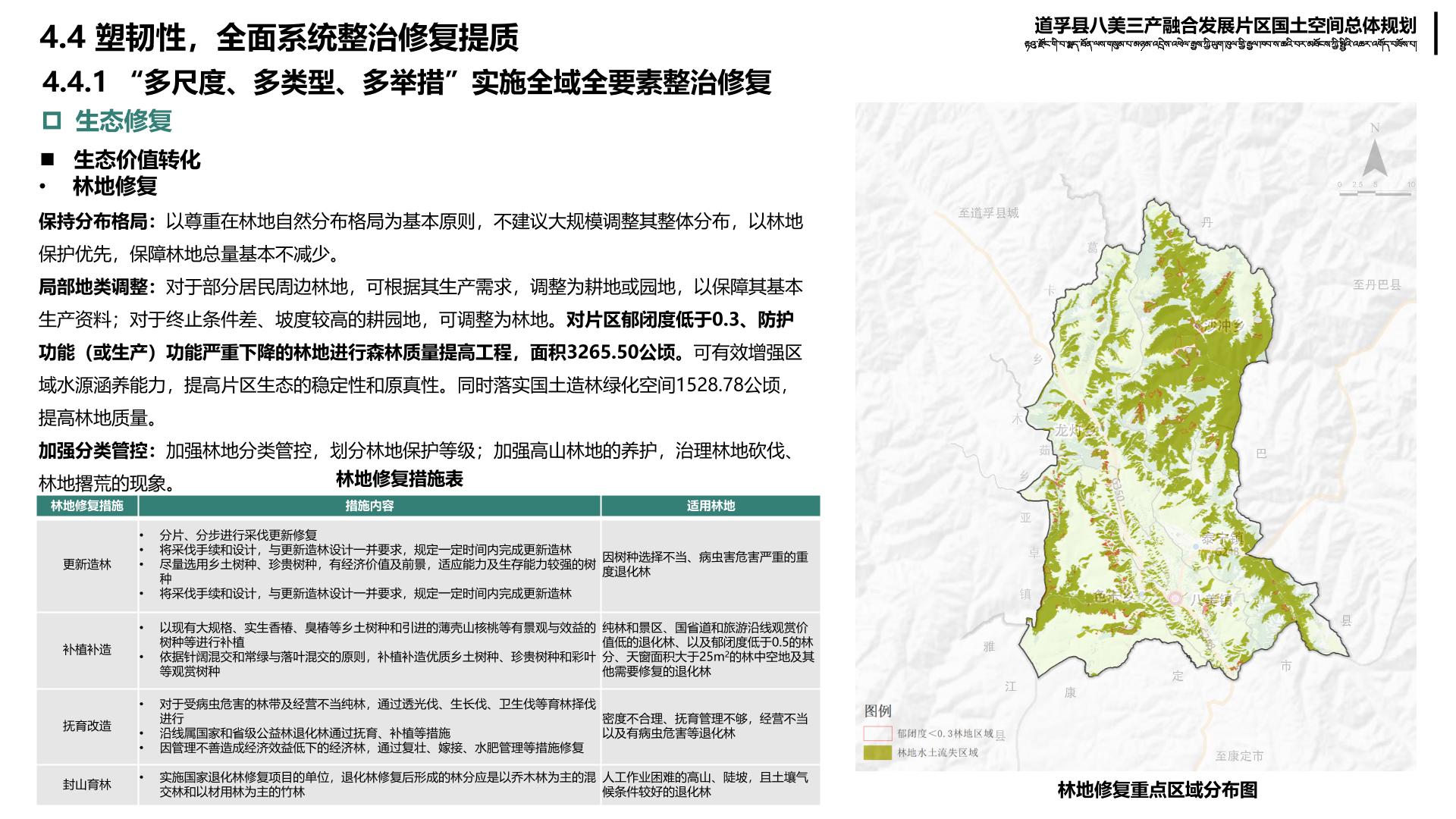 丙麻乡最新发展规划，打造繁荣与进步的新时代乡村典范