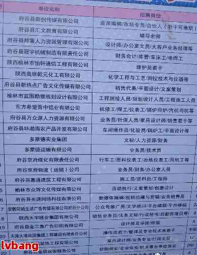 山亭区级托养福利事业单位最新项目，探索与实践的启示