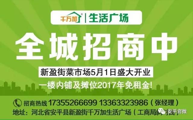 界首市人力资源和社会保障局最新招聘全面解析