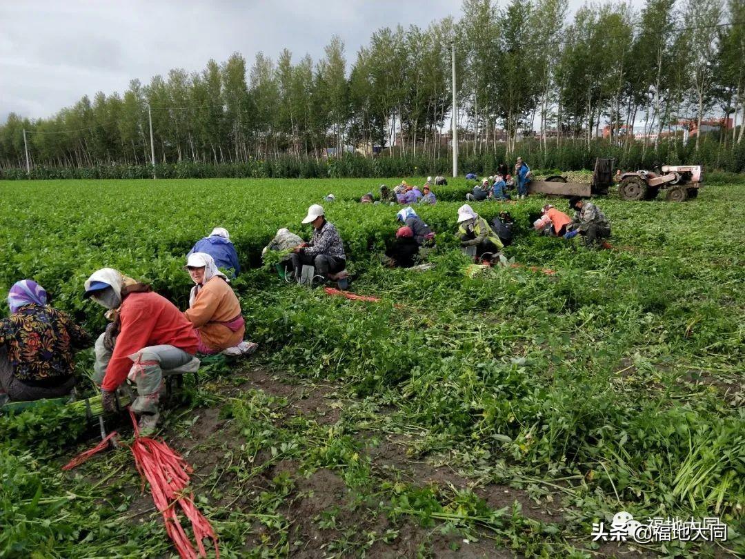 大同区人力资源和社会保障局招聘最新信息全面解析