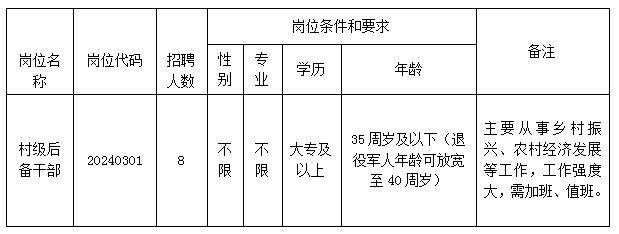 六四村委会最新招聘启事概览