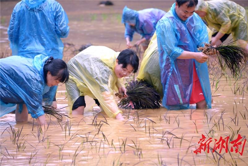 保靖县特殊教育事业单位人事任命最新动态