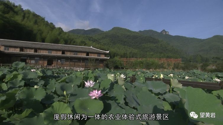 平田乡最新发展规划，打造繁荣宜居乡村新面貌