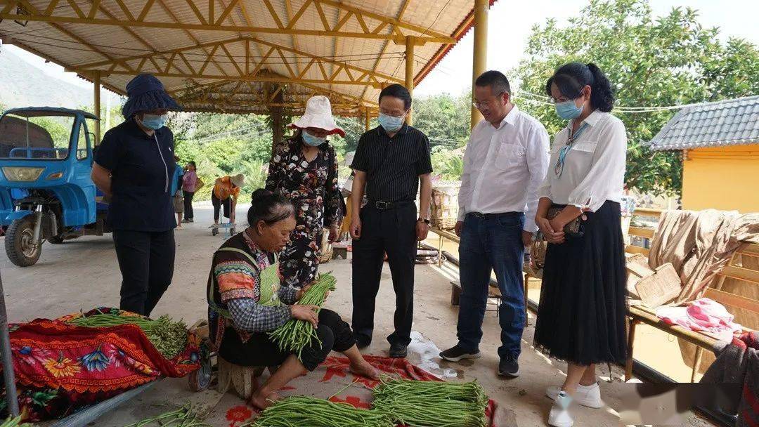 红河哈尼族彝族自治州邮政局推动邮政事业高质量发展，助力地方经济与社会进步