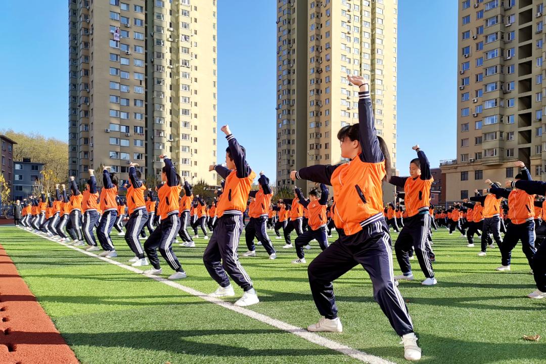 梨树区小学未来发展规划展望