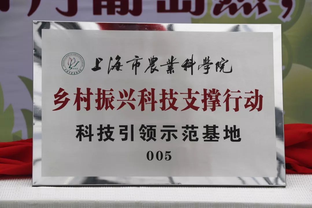 嘉定区农业农村局人事任命，开启农业现代化与乡村振兴新篇章