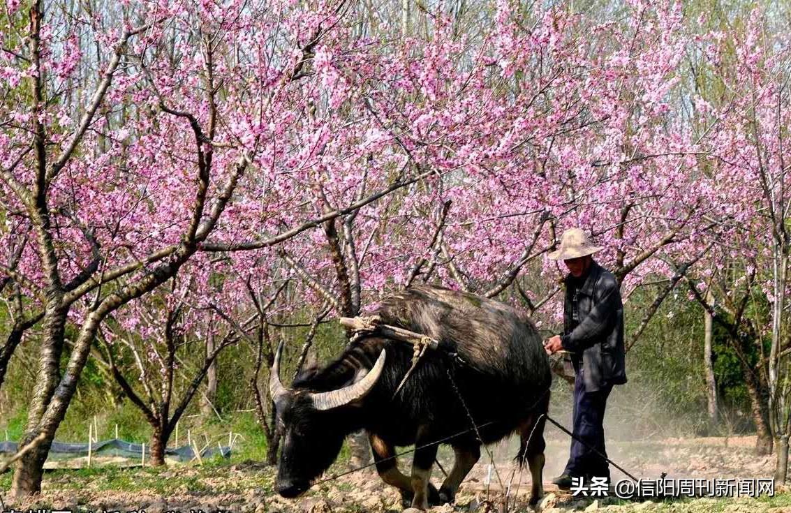 官渡区文化广电体育和旅游局新项目启动，文化繁荣与旅游兴盛双轮驱动