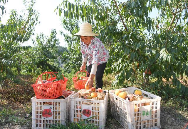 恒合土家族乡最新天气预报