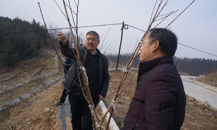 鲍沟镇交通新闻更新，交通发展助推地方经济繁荣