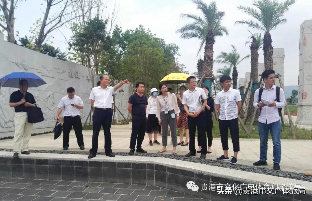 港南区文化广电体育和旅游局新项目，开启区域文化繁荣与旅游发展新篇章