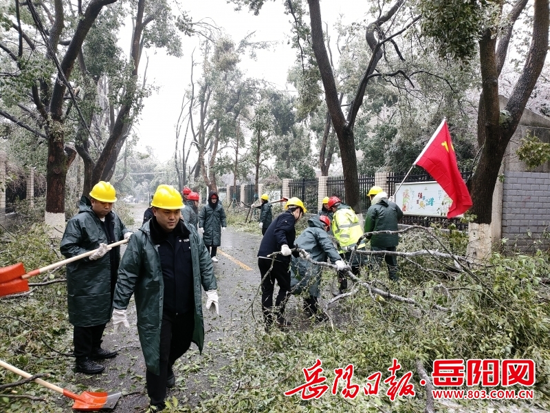 荣家湾镇最新天气预报