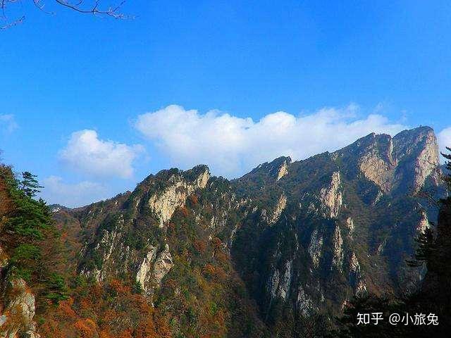 南阳市西峡伏牛山老界岭恐龙遗址园旅游区发布最新动态