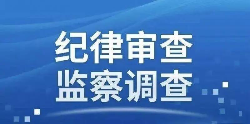 西区财政局发展规划，塑造可持续未来的蓝图