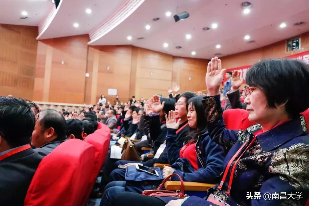 南昌县审计局未来发展规划揭晓，塑造审计新蓝图，引领未来前行