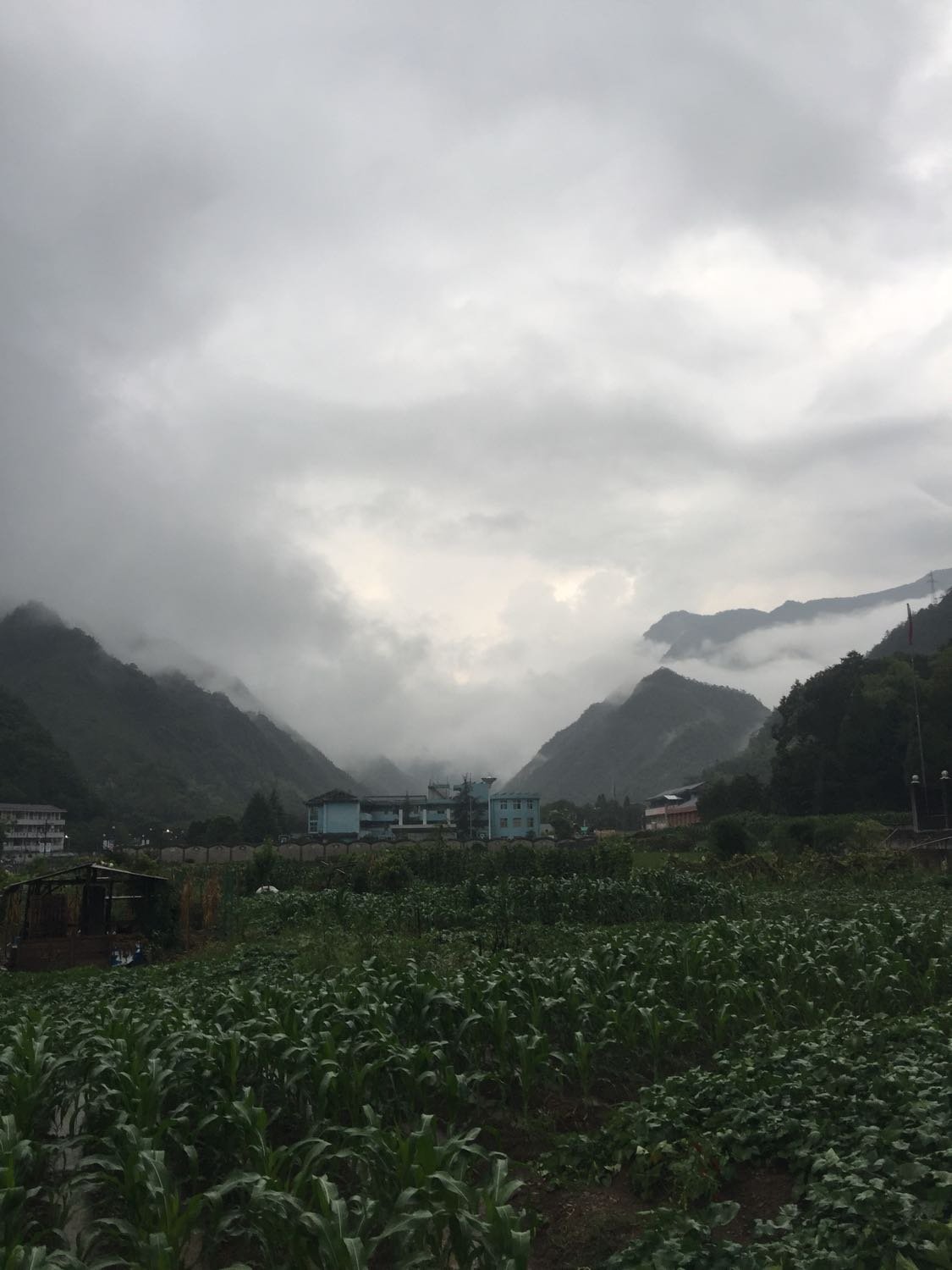 拉冲村天气预报更新通知