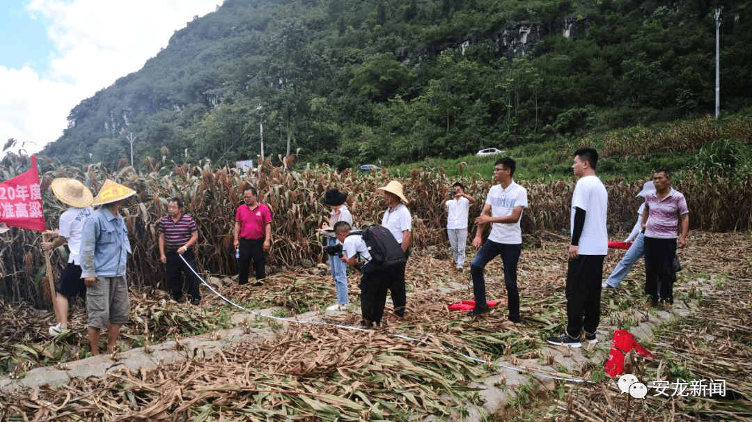 墨脱县农业农村局新项目推动农业现代化助力乡村振兴