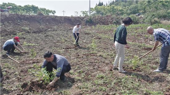 眉山市粮食局最新消息动态发布