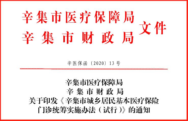 辛集市医疗保障局最新动态及深度解读概览