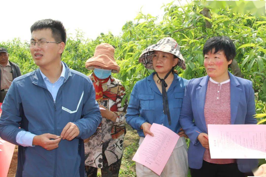 老城区防疫检疫站最新项目，筑牢健康安全防线屏障