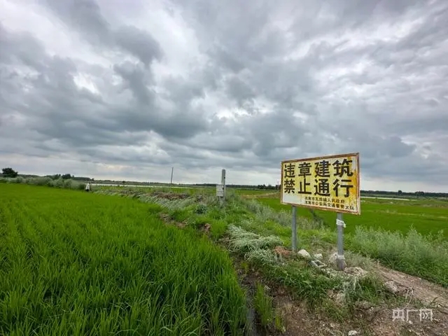 扎西林村天气预报更新