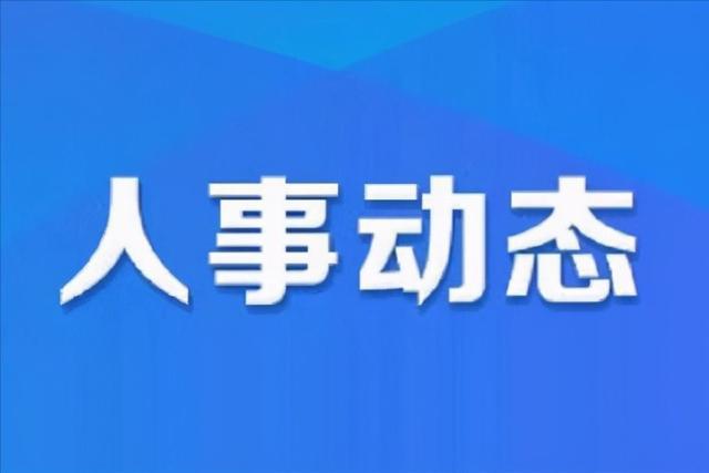 右玉县发展和改革局领导团队全新亮相，未来工作展望与期待