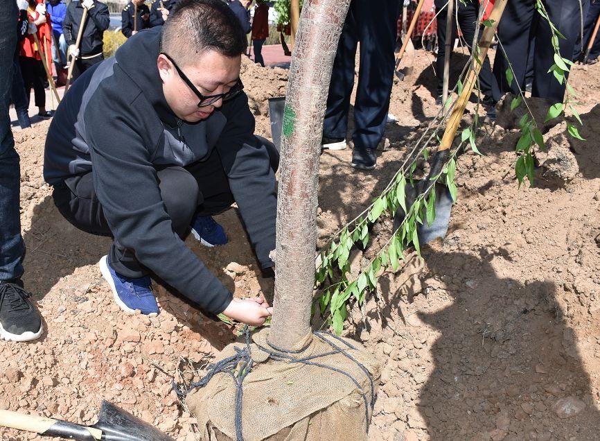 矿区教育局最新动态报道