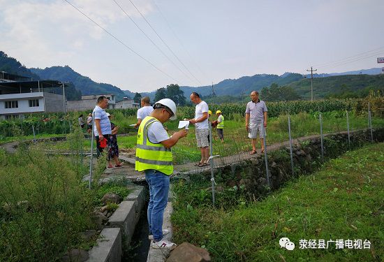 水竹乡最新新闻报道概览